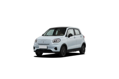 LEAPMOTOR T03