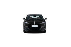 HONGQI TINGONG 08