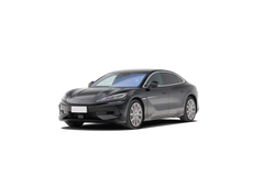 DENZA Z9