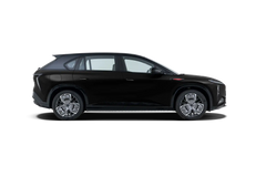 HONGQI TINGONG 08